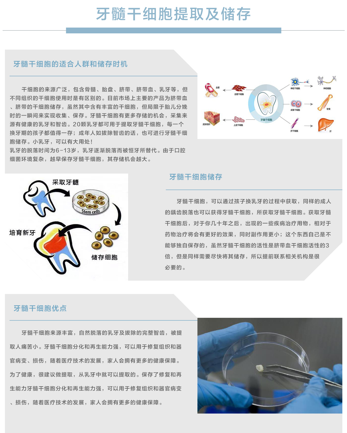 特色诊疗牙髓干细胞提取及储存.jpg